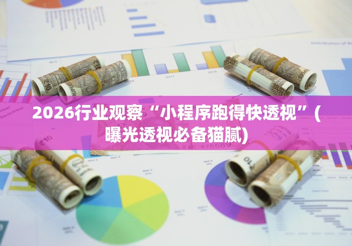 2026行业观察“小程序跑得快透视”(曝光透视必备猫腻)