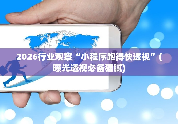 2026行业观察“小程序跑得快透视”(曝光透视必备猫腻)