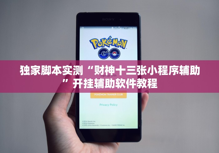 独家脚本实测“财神十三张小程序辅助”开挂辅助软件教程