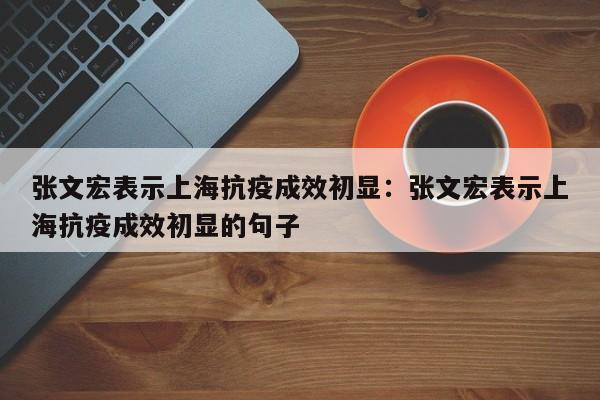 张文宏表示上海抗疫成效初显：张文宏表示上海抗疫成效初显的句子