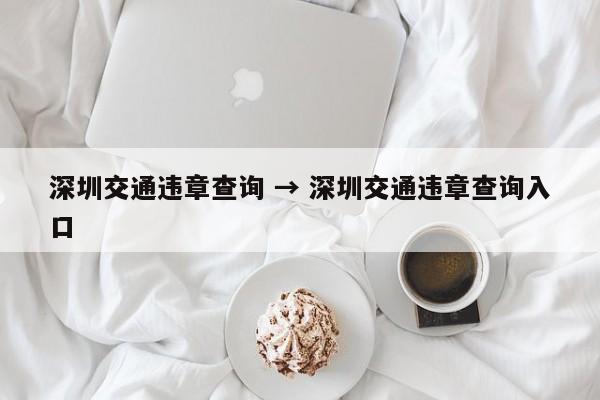 深圳交通违章查询 → 深圳交通违章查询入口