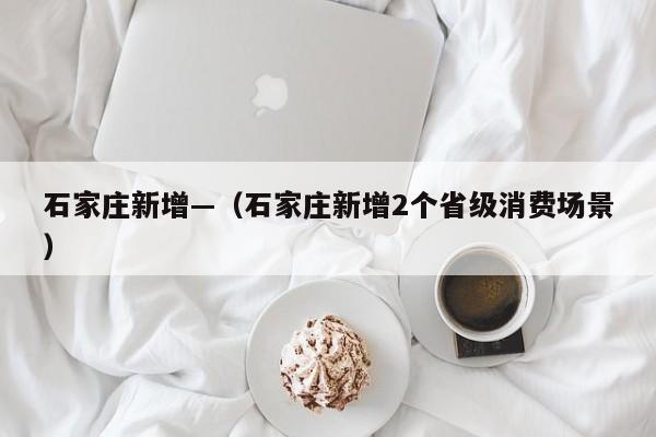石家庄新增—（石家庄新增2个省级消费场景）