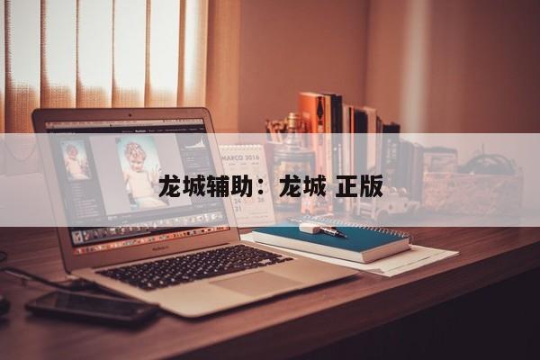 龙城辅助：龙城 正版