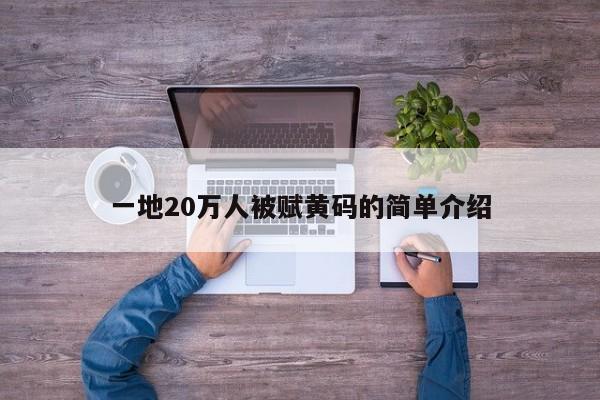 一地20万人被赋黄码的简单介绍