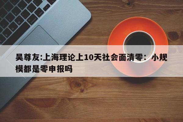 吴尊友:上海理论上10天社会面清零：小规模都是零申报吗