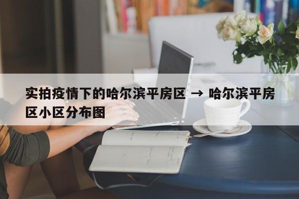 实拍疫情下的哈尔滨平房区 → 哈尔滨平房区小区分布图